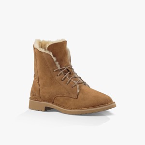 Ugg Quincy Women Classic Boots Brown (4052JPOTH)